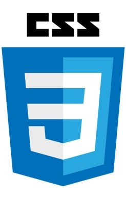 Logo CSS